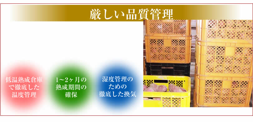 おいしい原種安納蜜芋