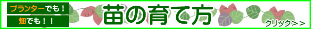 �������������Ǽ̪��