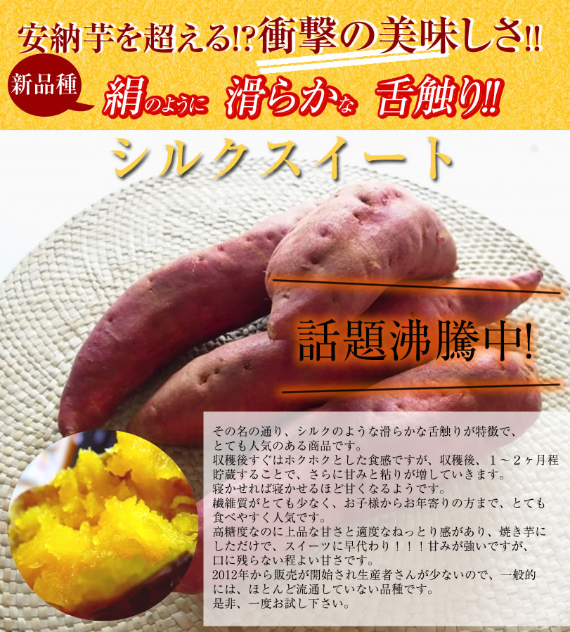 収穫期にはたくさんのサツマイモが収穫できます