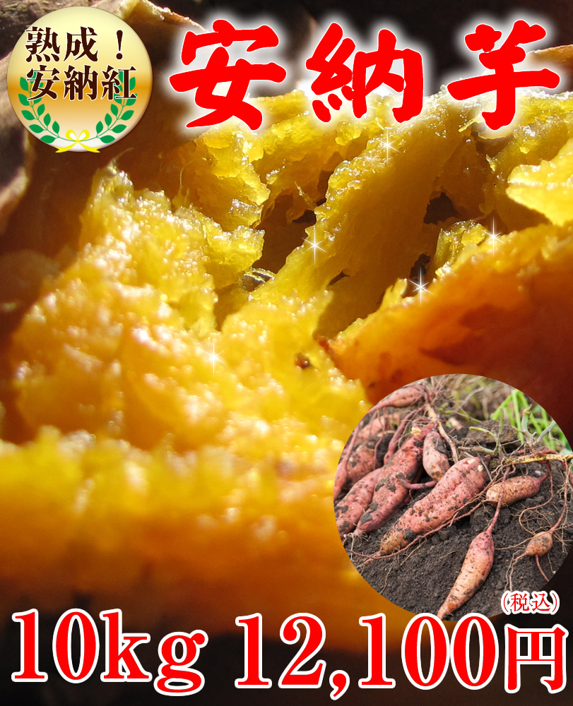 アトム様専用 10キロ+rubic.us