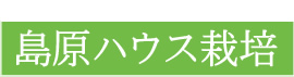 島原ハウス栽培