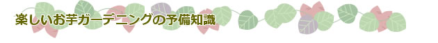 楽しいお芋ガーデニングの予備知識
