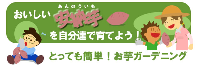 おいしい安納芋を自分達で育てよう！とっても簡単！お芋ガーデニング