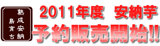 原種安納蜜芋の規格外・不揃いをお買い得価格でご提供いたします