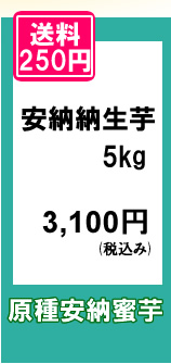 原種安納蜜芋の規格外・不揃いをお買い得価格でご提供いたします