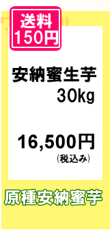 原種安納蜜芋の規格外・不揃いをお買い得価格でご提供いたします