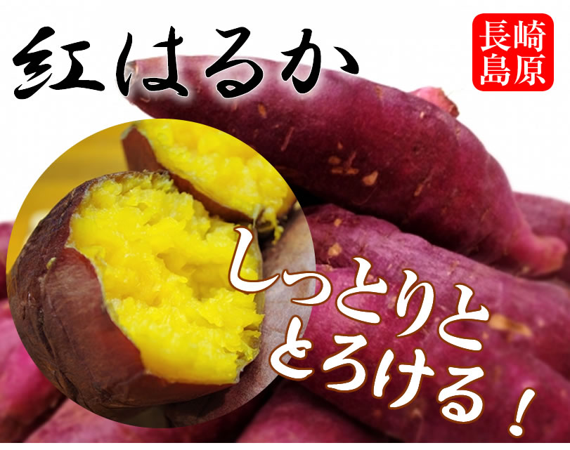 紅はるか】島原産 生芋 5kg しっとりあまーい！さつま芋