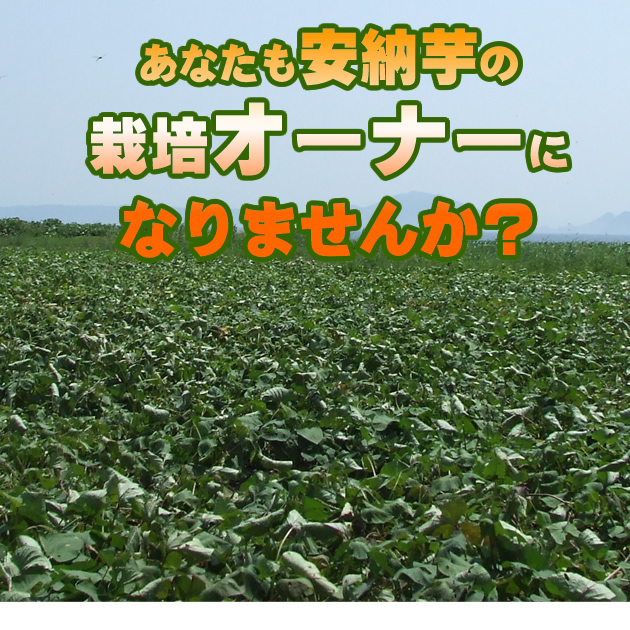 栽培オーナー制度