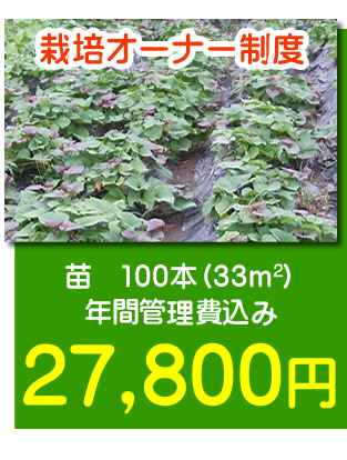 栽培オーナー制度