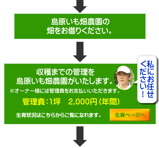 栽培オーナー制度