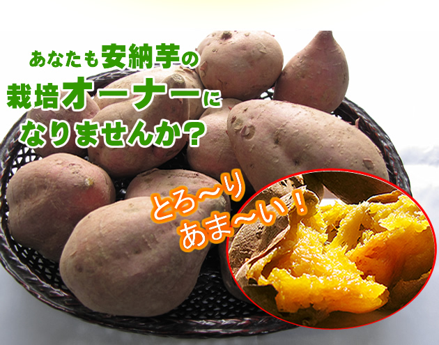 栽培オーナー制度