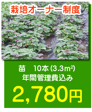 栽培オーナー制度