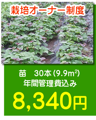 栽培オーナー制度