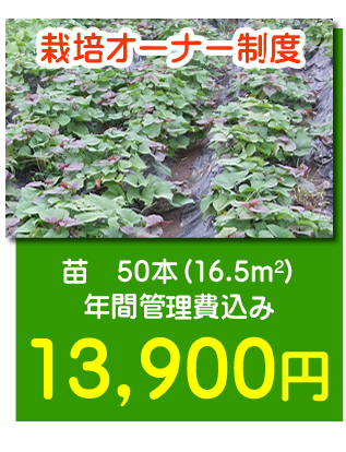 栽培オーナー制度