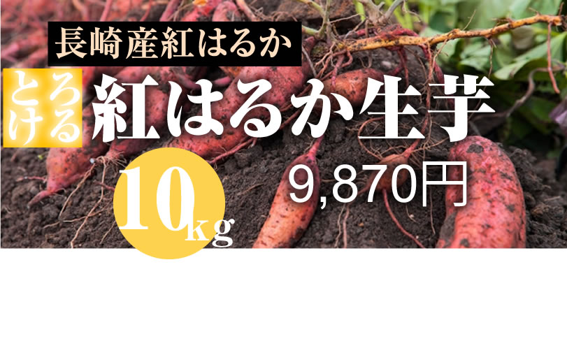 島原産生芋　紅はるかさつま芋
