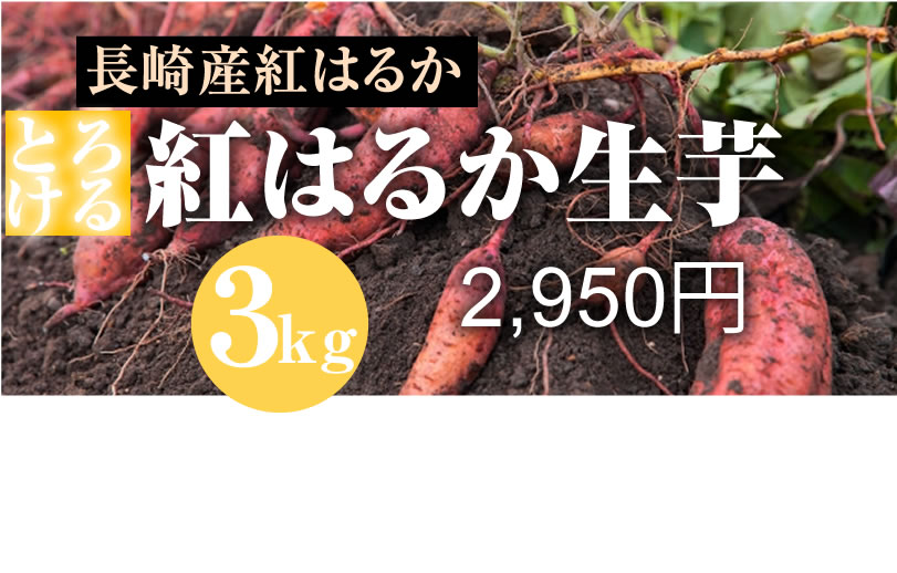 島原産生芋　紅はるかさつま芋