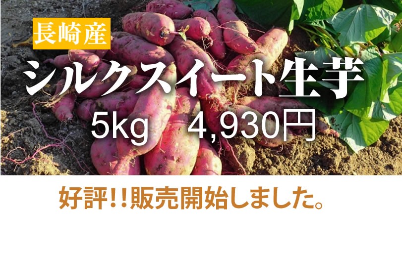 シルクスイート】島原産 生芋 5kg クリームの様なさつま芋