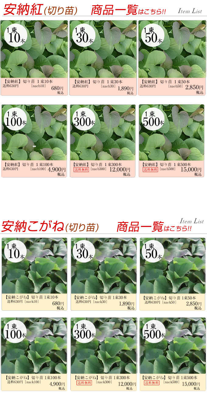 切り苗商品一覧