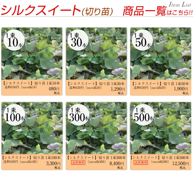 切り苗商品一覧